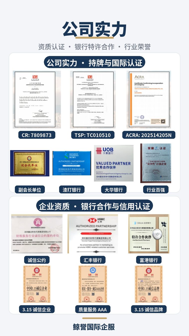 公司实力与资质